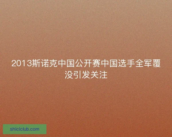 2013斯诺克中国公开赛中国选手全军覆没引发关注